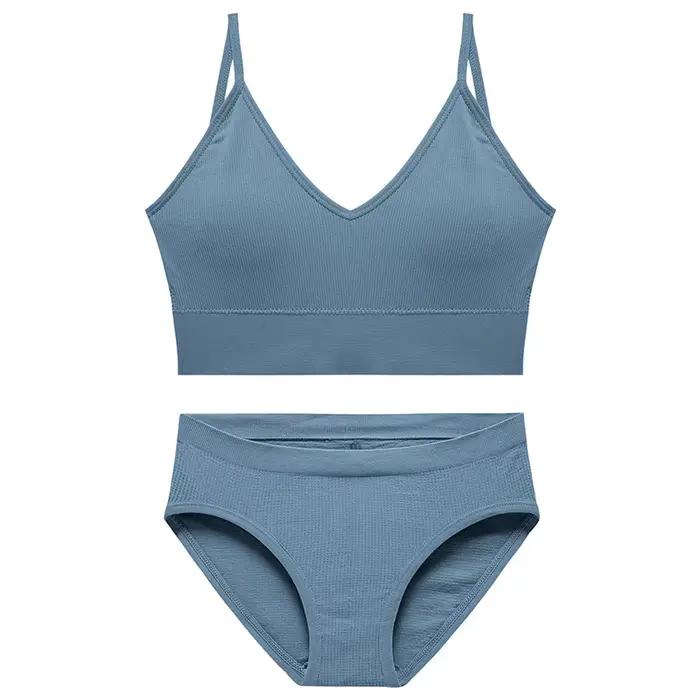 Ensemble de lingerie sans fil française, sexy, push-up pour petites poitrines, caraco sans dos sans 