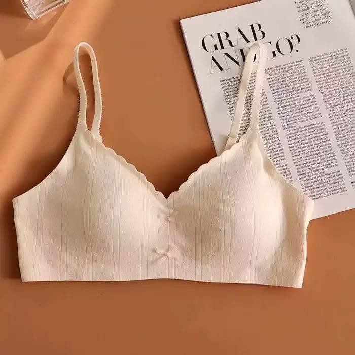 Soutien-gorge dos sans couture pour femmes, sans anneau en acier, petite poitrine push-up, Anti-affa