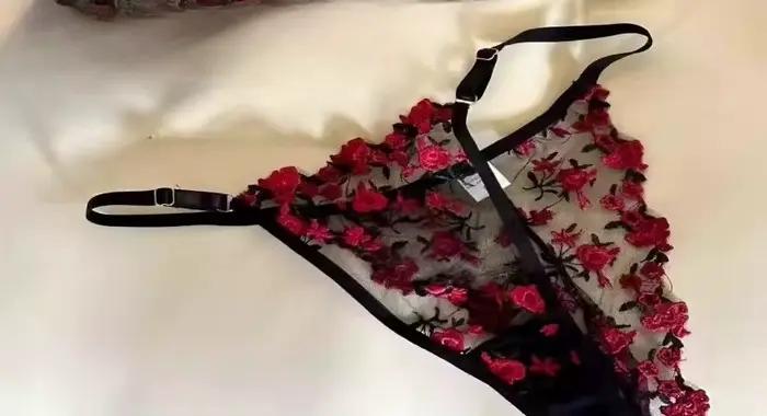 Soutien-gorge brodé en dentelle pour femme, ultra-fin, transparent, sans rembourrage, avec armatures