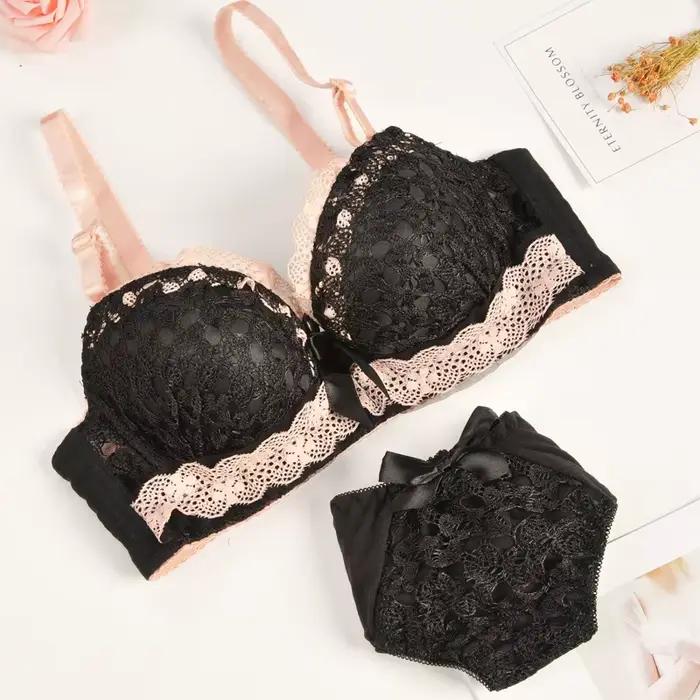Ensemble soutien-gorge et culotte push-up, dos de beauté, sous-vêtements Sexy pour femmes, brassière en dentelle, ensemble de Lingerie brodée