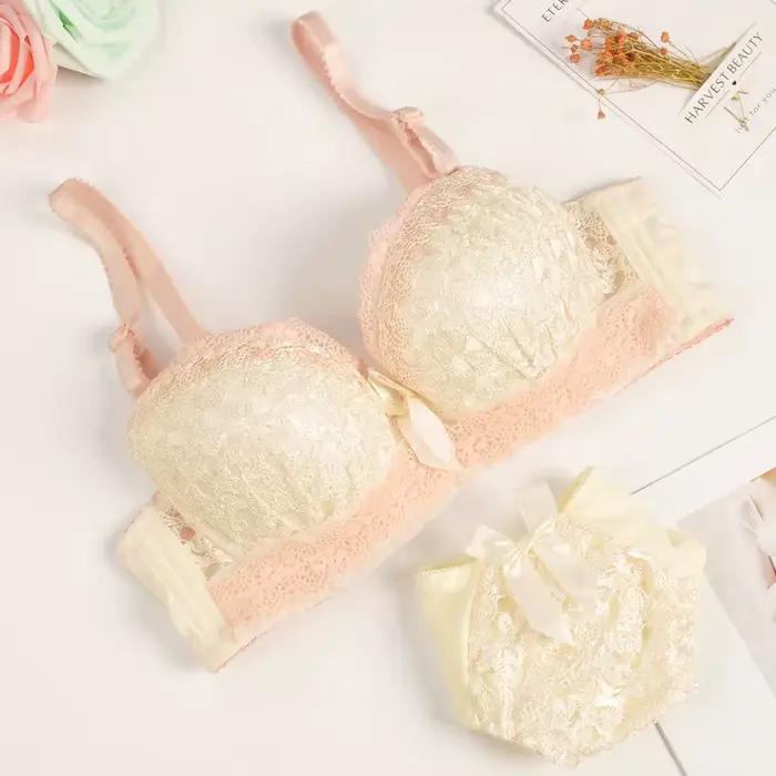 Ensemble soutien-gorge et culotte push-up, dos de beauté, sous-vêtements Sexy pour femmes, brassière en dentelle, ensemble de Lingerie brodée
