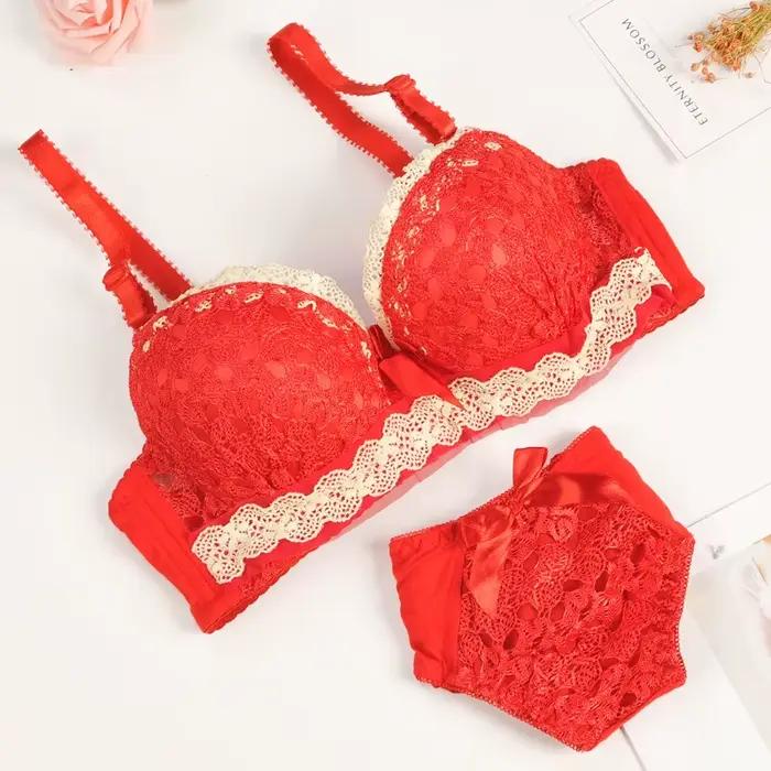 Ensemble soutien-gorge et culotte push-up, dos de beauté, sous-vêtements Sexy pour femmes, brassière en dentelle, ensemble de Lingerie brodée