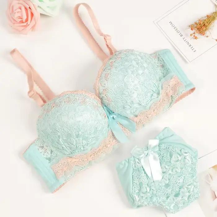 Ensemble soutien-gorge et culotte push-up, dos de beauté, sous-vêtements Sexy pour femmes, brassière en dentelle, ensemble de Lingerie brodée