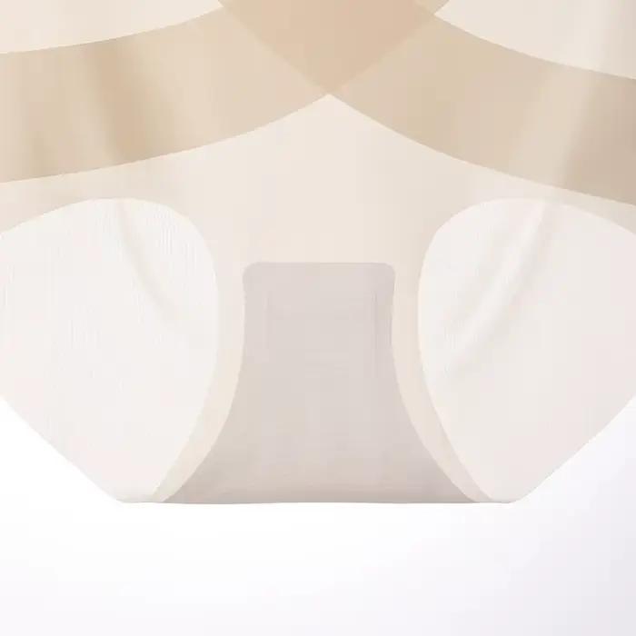 Taille haute culottes slips ventre ceinture femme femmes culottes ensemble Transparent Linergie Lingeries Sexy sous-vêtements chauds caleçons