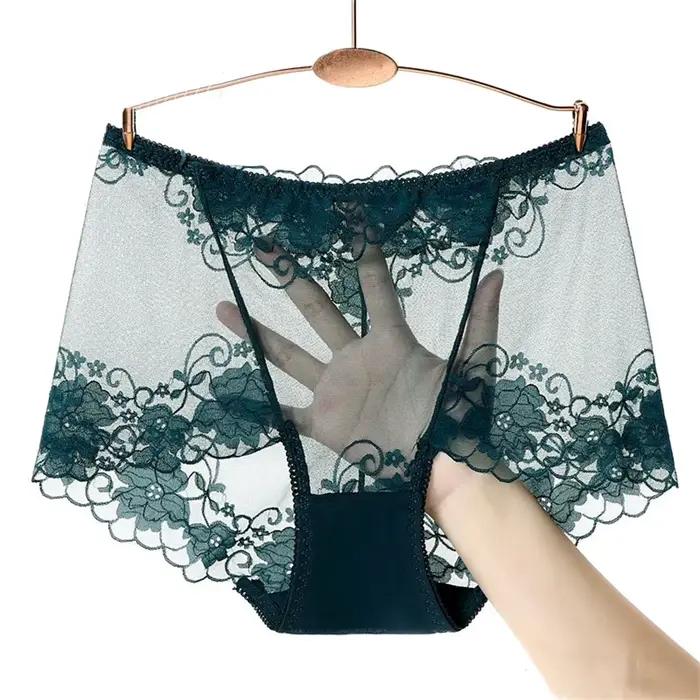 Grande culotte transparente grande taille pour femme, caleçon ajouré en dentelle florale, slip en maille sans couture, Perspective, L-4XL