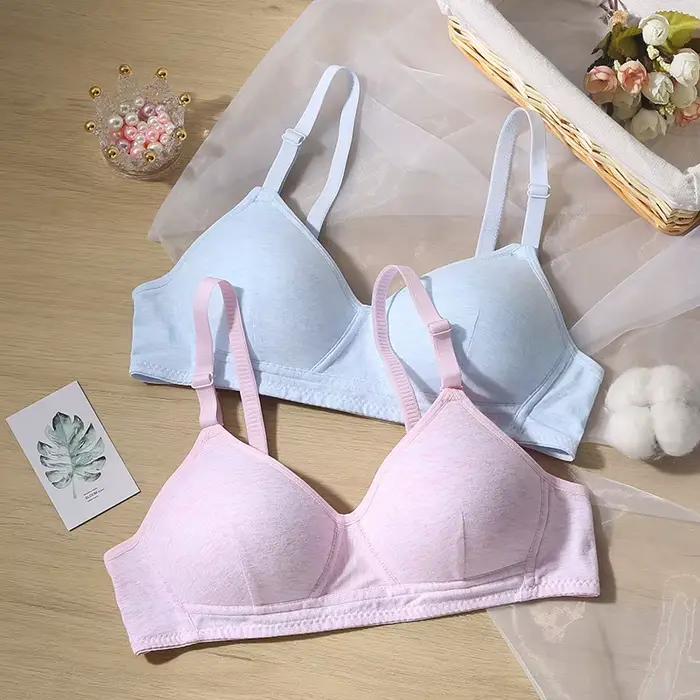 Sous-vêtements féminins soutien-gorge de rassemblement sans anneau en acier soutien-gorge mince réglable soutien-gorge femme vêtements respirant confortable Lingerie