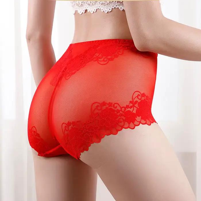Grande culotte transparente grande taille pour femme, caleçon ajouré en dentelle florale, slip en maille sans couture, Perspective, L-4XL