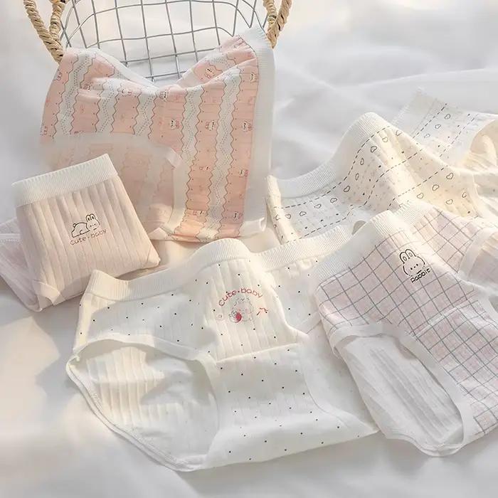 Lot de 5 culottes en coton à entrejambe étendu pour femme, motif quadrillé rose, taille mi-haute, lingerie féminine