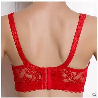 Soutien-gorge transparent grande taille 34 36 38 40 42 44 46 Bonnets B C D Marque Sexy Femme Dentelle Lingerie Push-up C306